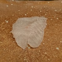 鮨 おおが - 