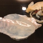 鮨桂太 - 真子鰈