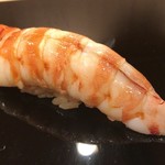 鮨桂太 - 車海老