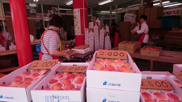 今シーズン最後の あらかわの桃 By Dreamer 桃山特産センター 下井阪 その他 食べログ