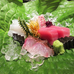 大文字屋　龍田川 - 4.お造り:鮪 剣先烏賊 いさき焼霜 タイ焼霜(ギボウシの葉/自家製の固形昆布醤油)