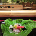 大文字屋　龍田川 - 4.お造り:鮪 剣先烏賊 いさき焼霜 タイ焼霜(ギボウシの葉/自家製の固形昆布醤油)