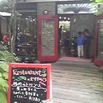 雑木林から自然な感じで店内に…。