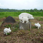 ザ・ババリアン・ペーター・タテシナ - こっちは豚の親子・・・？