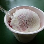 ザ・ババリアン・ペーター・タテシナ - ベリーの酸味が美味しいかったぁ☆