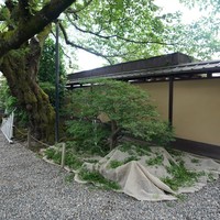 招福樓 本店 - 