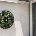 アロハサラダ - 