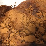 腰掛庵 - わらびもち