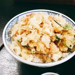 てんぬま - かき揚げ丼