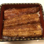 鰻はし本 - 横山さんの鰻太物の鰻重