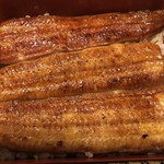 鰻はし本 - 横山さんの鰻太物の鰻重