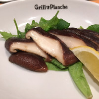 グリル プランチャ - 