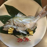 新町 和けい - 祝い鯛