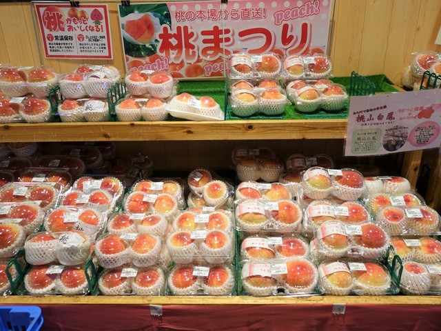 Sanchoku Ichiba Yottette Kashihara Ten photo 5