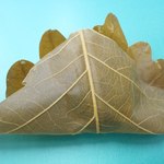 和菓子処 大角玉屋 - 