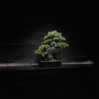 中目黒いぐち 麻布十番店 - 