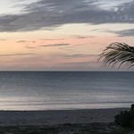 LA PART DES ANGES , Paradis d' ouvea - 