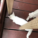 LE Bar, Paradis d' ouvea - 