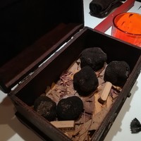 マルゴット エ バッチャーレ - 