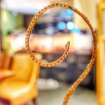 うな串 焼き鳥 う福　八丁堀 - 