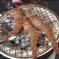 海鮮家 はこだて 本店 - 
