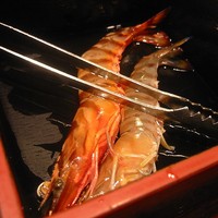美々卯 本町店 - 