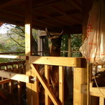 やぎや - リャマもいます。ロドリゲス。ロドちゃん。