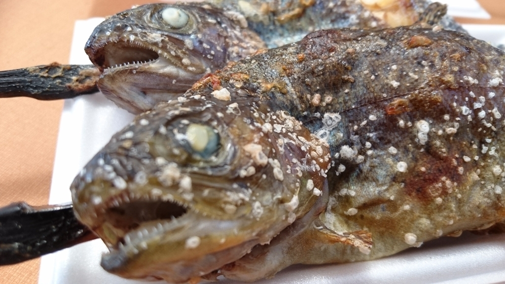 清流の里 name=