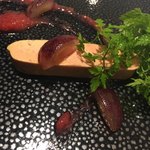 レヴォル - あっぷ