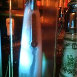 ビアハウスケルシュ - ハイネケンのエクストラコールドも！