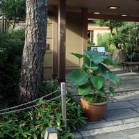 平等院表参道 竹林 - 外観
