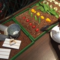 スプレンディード - 