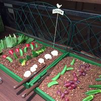 スプレンディード - 