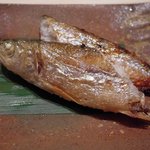 すし匠 - ししゃも（オス）焼き（北海道産）