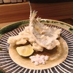 肴とお酒 うを弘 - 小ムツの天ぷら