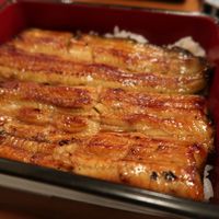 うなぎ 久保田 - 鰻重定食（３６００円）