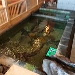 Kada Awashima Onsen Oosakaya Hiinano Yu - 