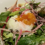 ル・ビストロ・資生堂 - 前菜：チキンとポーチドエッグのリヨン風サラダ