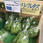 野菜の駅 ふれあいファーム しのつ - 