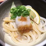 Momoyama Tei Udon Dou - おろし醤油うどん