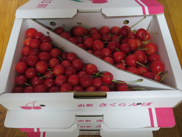 滝口観光果樹園 - 天童（その他）の写真