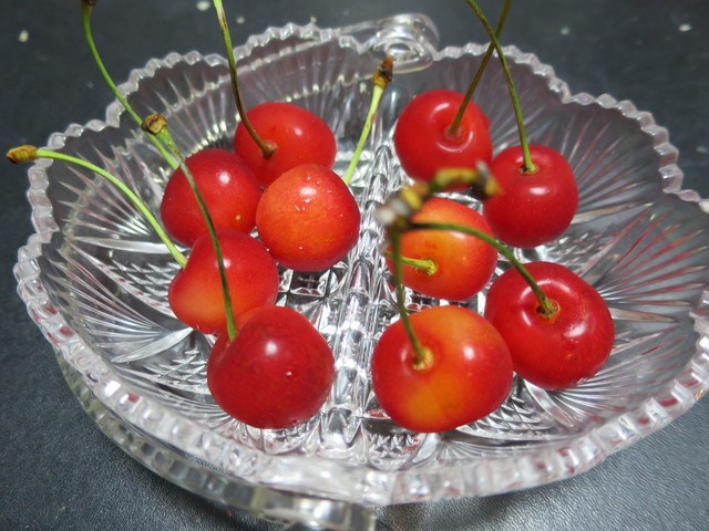 滝口観光果樹園 - 天童（その他）の写真