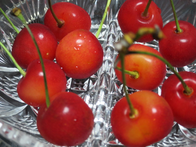 滝口観光果樹園 - 天童（その他）の写真