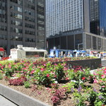 New York Hilton Midtown - 周辺には移動屋台多し