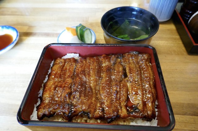 うな清 うなきよ 新狭山 うなぎ 食べログ