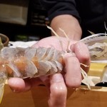 鮨匠 のむら - ⑯蝦蛄(鹿児島県出水産)
      産卵期は初夏～夏、旬は包卵する初夏～夏。
      こちらの蝦蛄は砂地に棲むため非常にクリアな色と味わいがあります。
      包卵しており、卵の濃厚な甘さと身の濃い目の味わいが混ざって悶絶もの