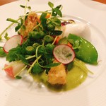 アノニム - 前菜・モツァレラと近郊野菜のサラダ