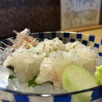 桂 - はも焼霜