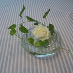 エメ・ヴィベール - 