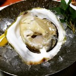 すし捨 - 紅葉おろしとポン酢でいくか、レモンだけでいくか